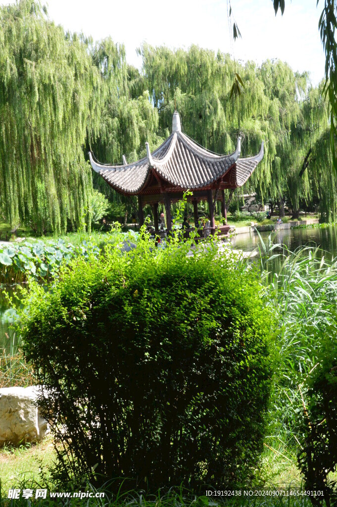 公园风景  