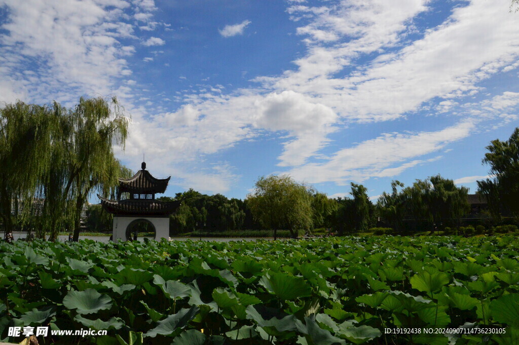 公园风景 