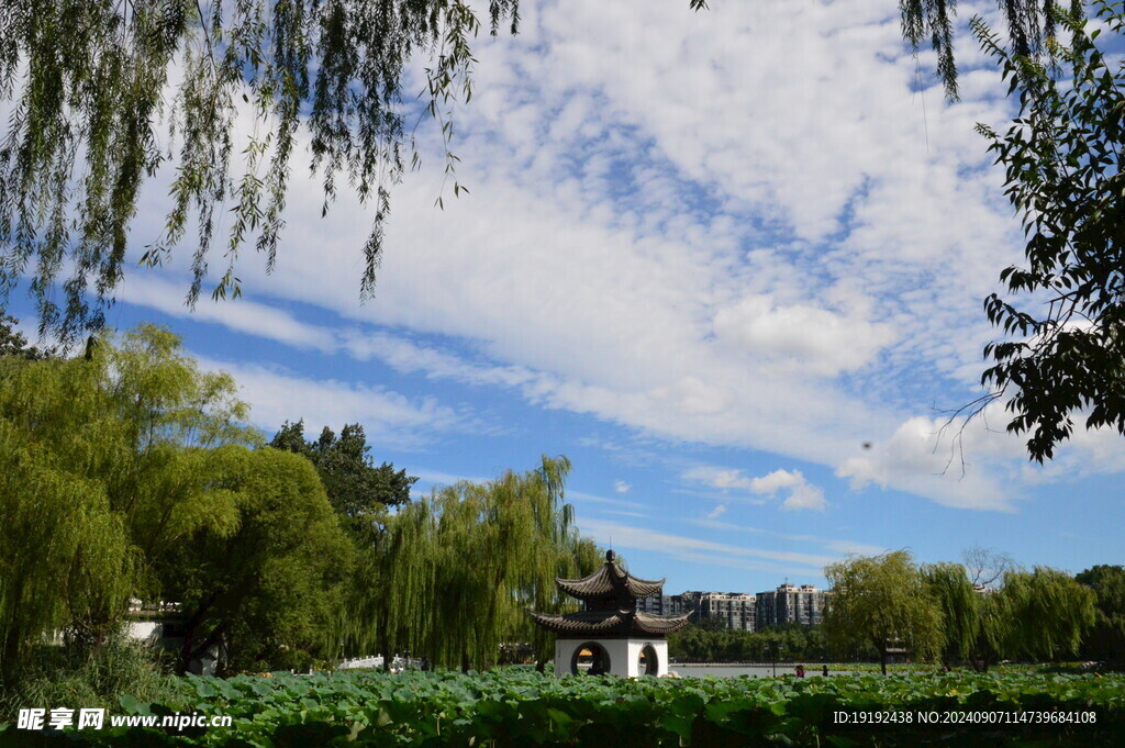 公园风景 