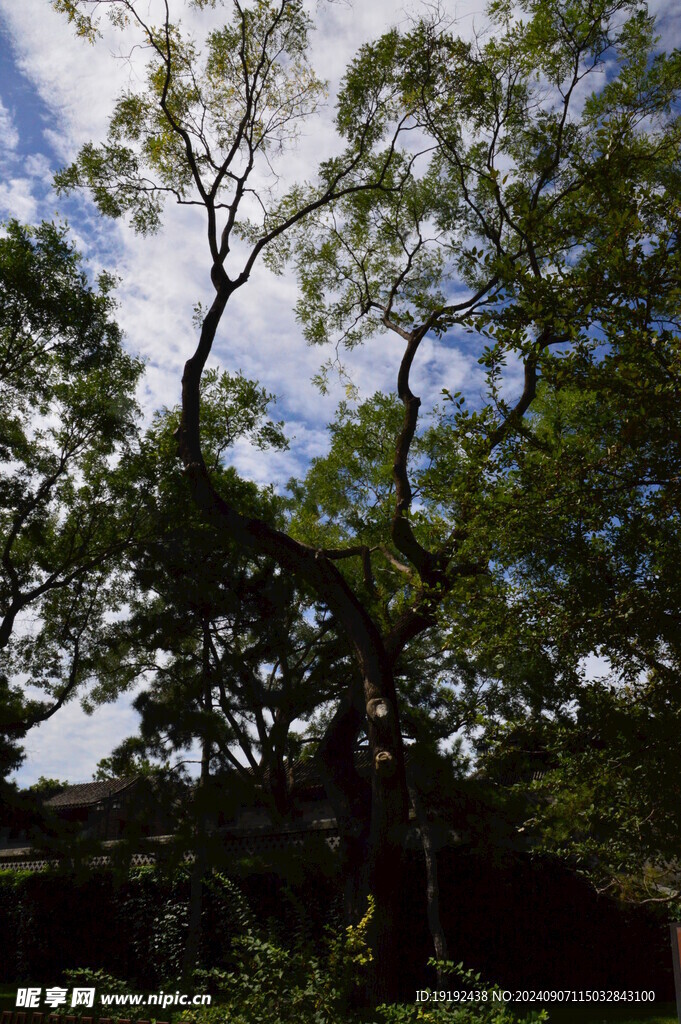 公园风景  