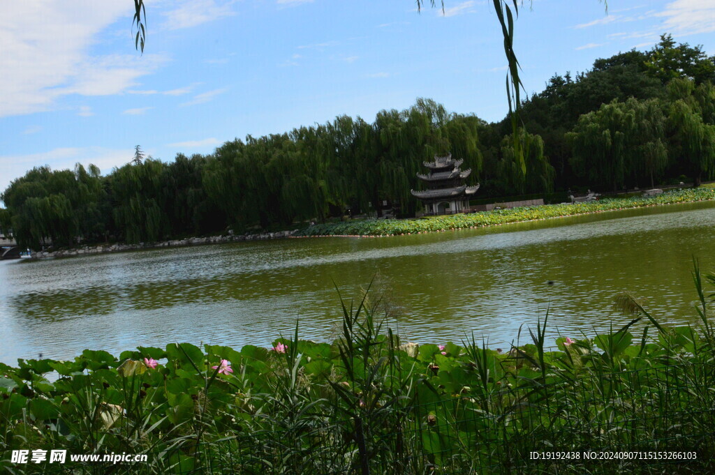 公园风景 