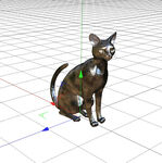 C4D模型 猫