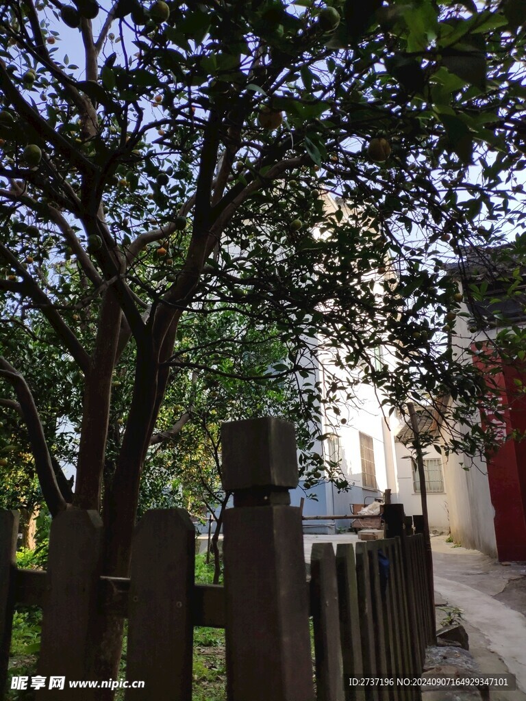 西山农村风景