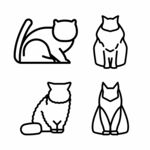 矢量猫咪