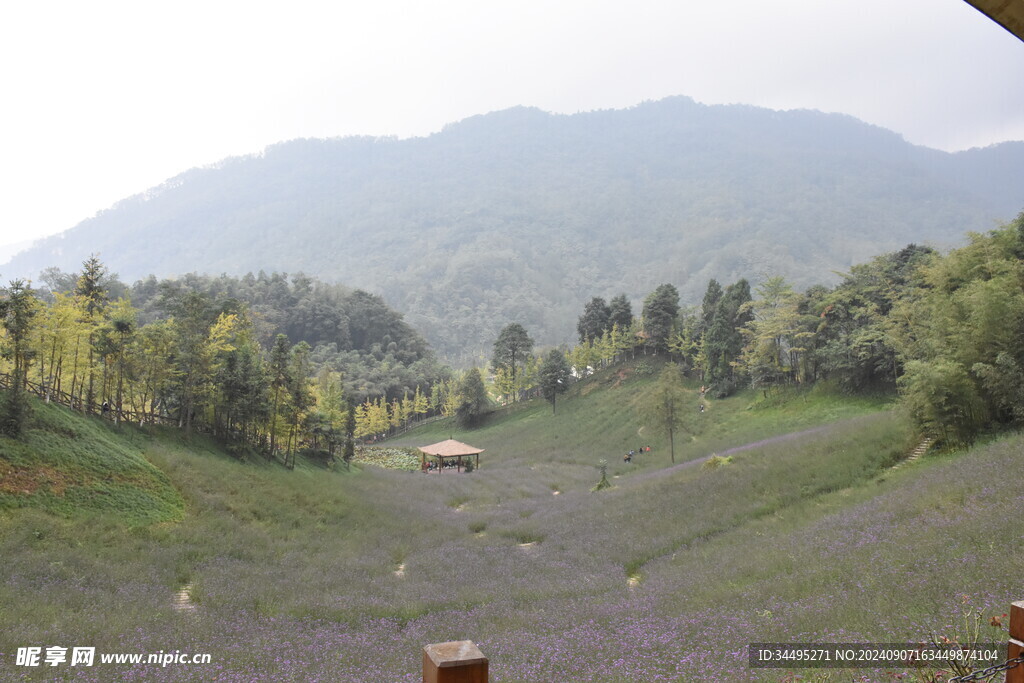 山花风景