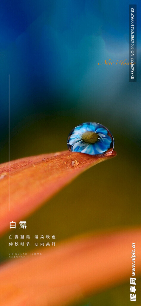 白露节气