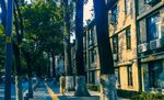大学一角