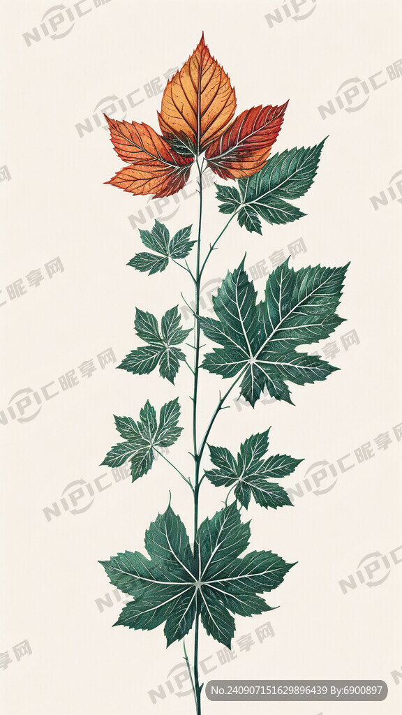 叶子热转印 手绘叶子 纹理清晰