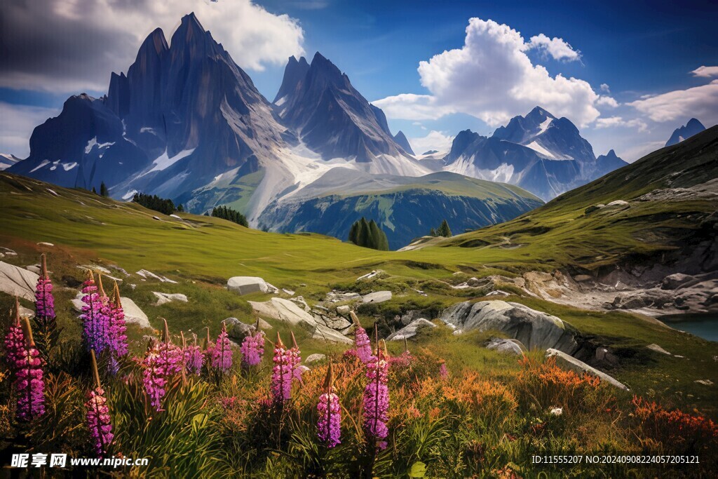 奇妙全景山草花峡谷惊人美景