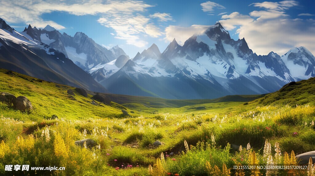 奇妙全景山草花峡谷惊人美景