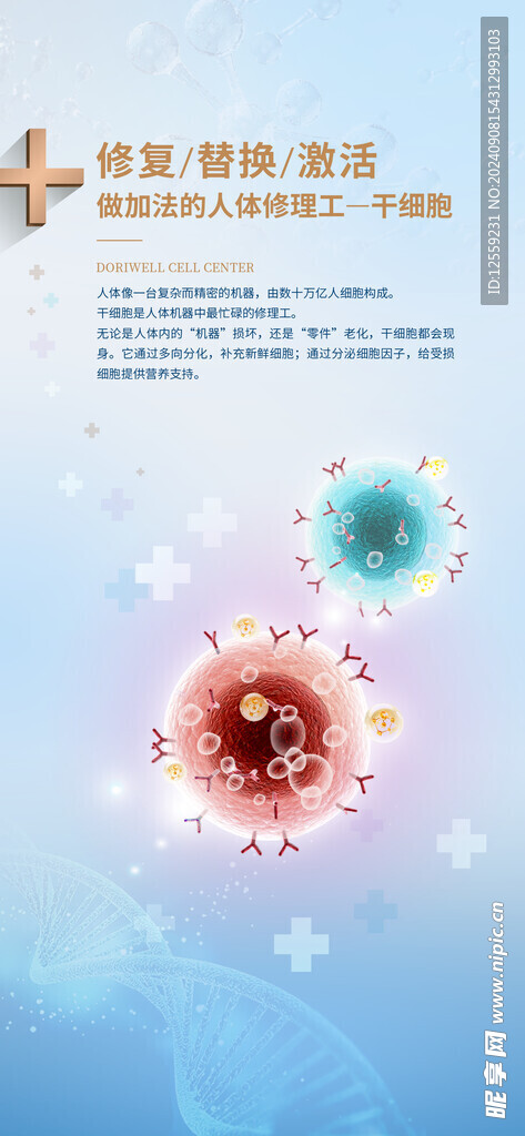 干细胞成分海报
