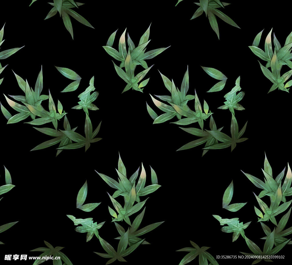 树叶 