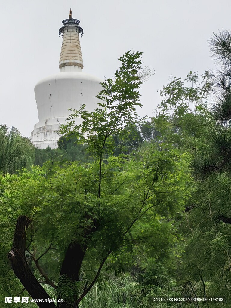 公园风景 