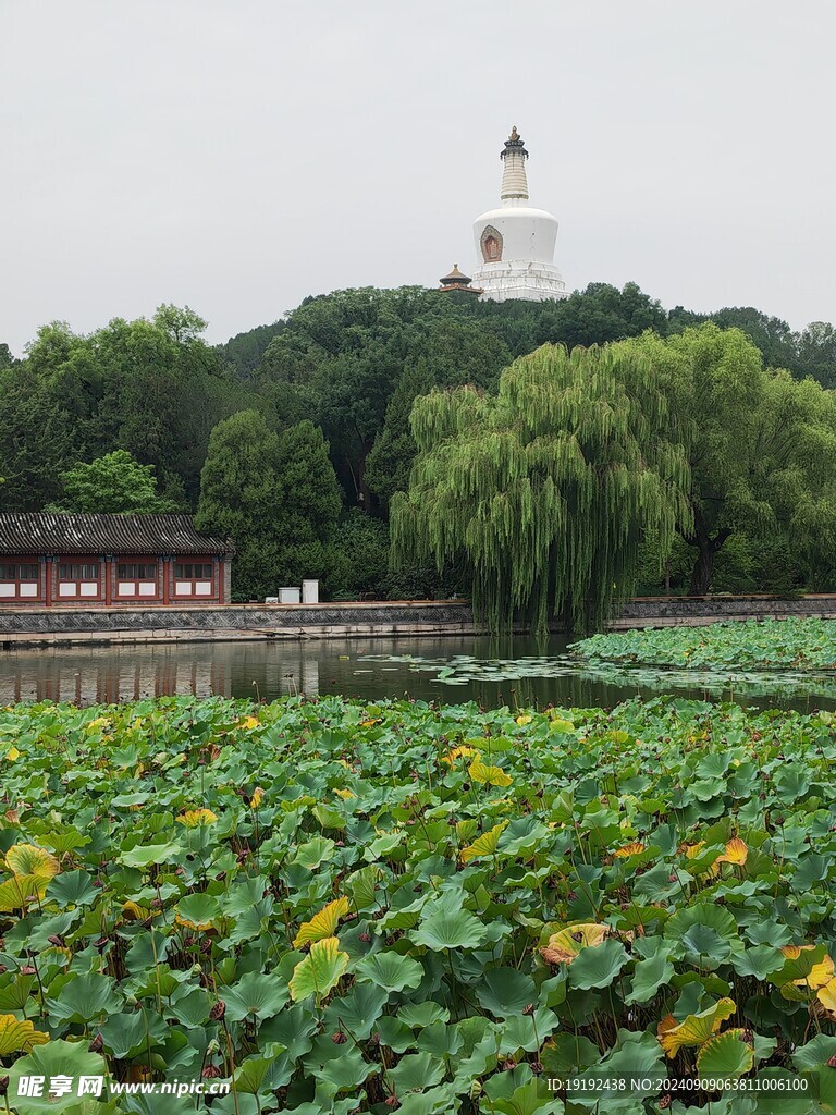 公园风景 