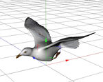 C4D模型 鸽子