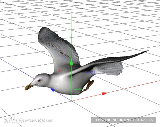 C4D模型 鸽子