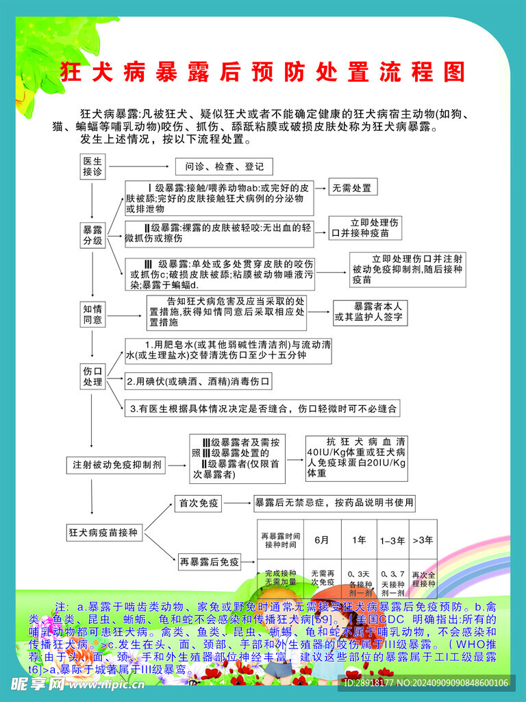 狂犬病暴露后预防处置流程图