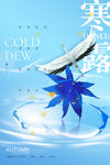 寒露海报