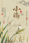 小满海报