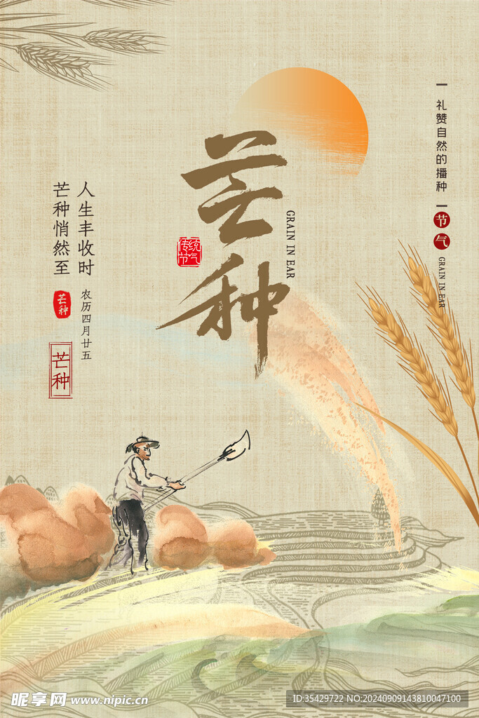 芒种