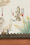 白露节气海报