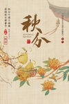 秋分节气海报