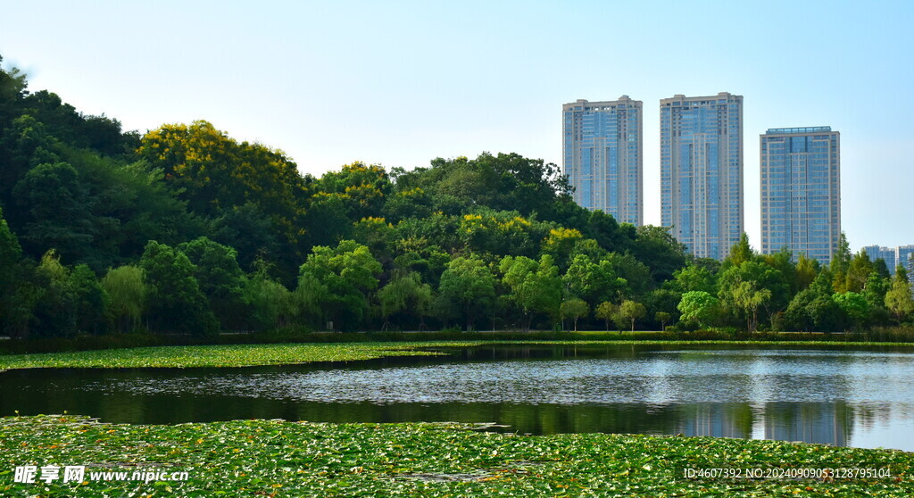 长沙梅溪湖的秋天