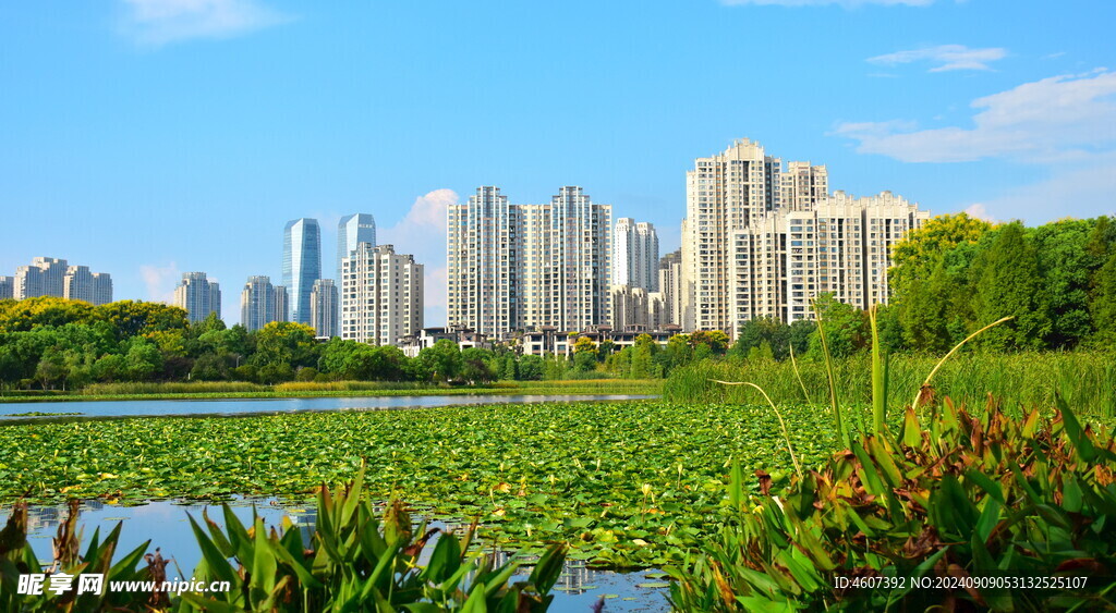 长沙梅溪湖的秋天