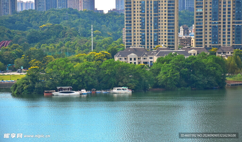 湖边小景