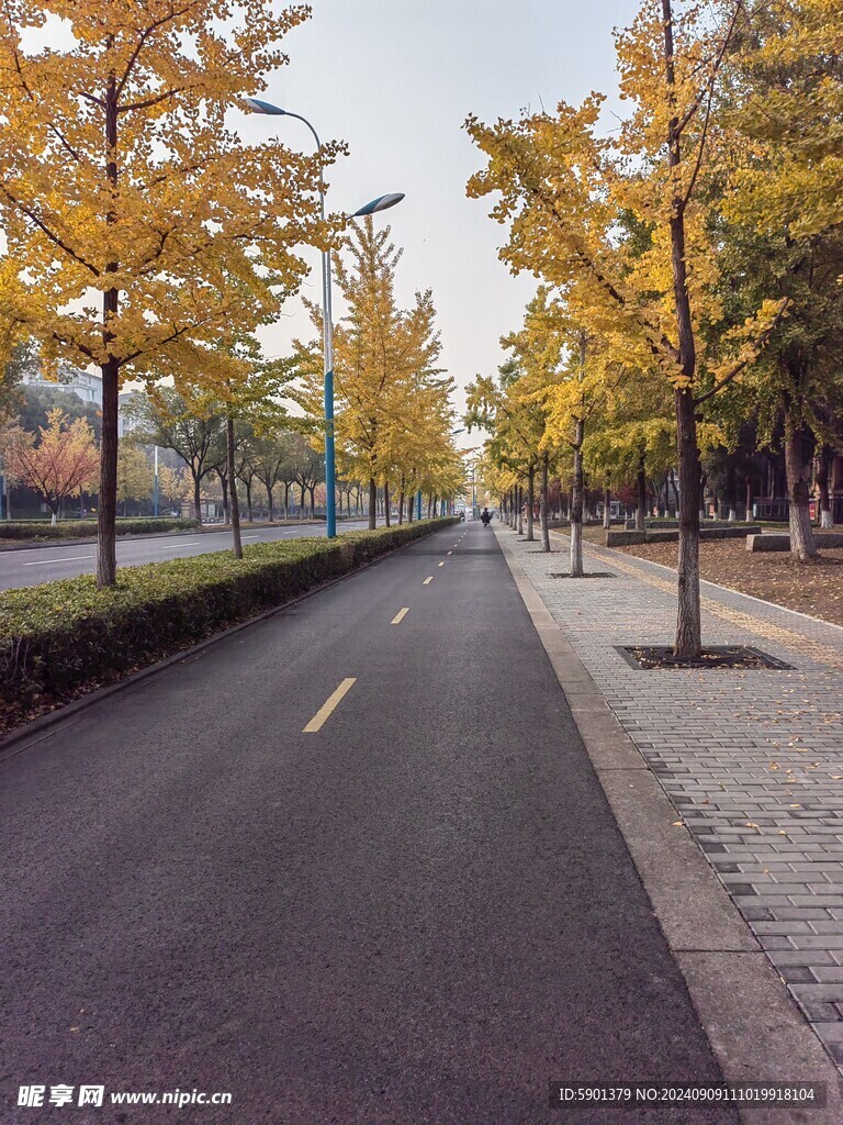 秋日马路风景