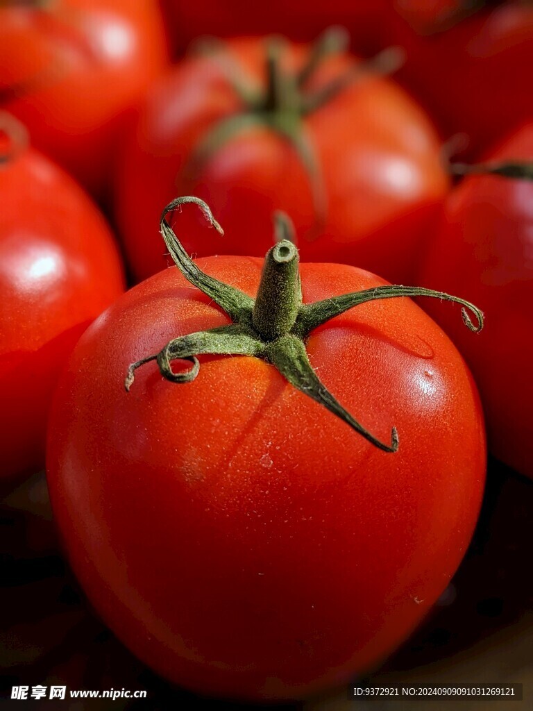 番茄