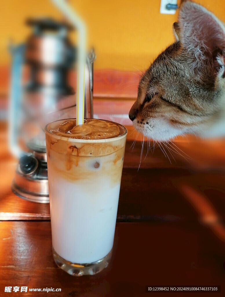 奶昔奶茶