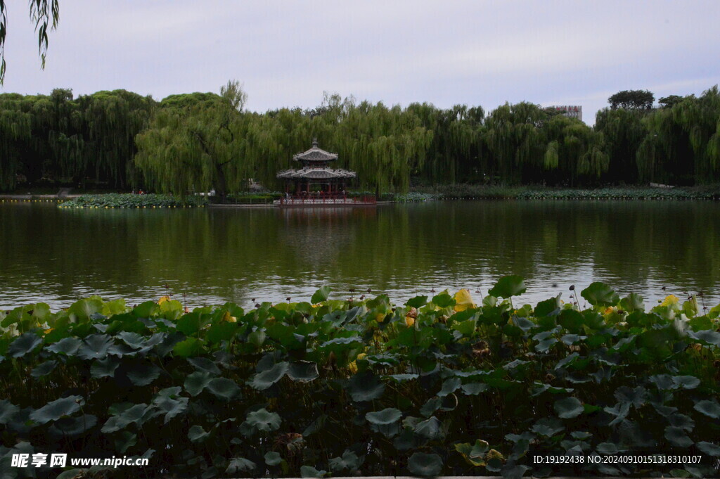 公园风景 