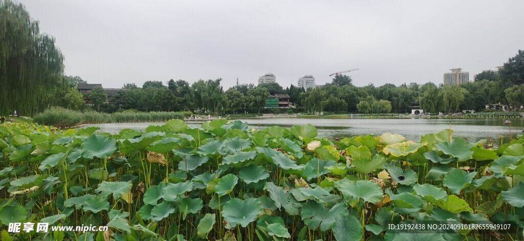 公园风景  