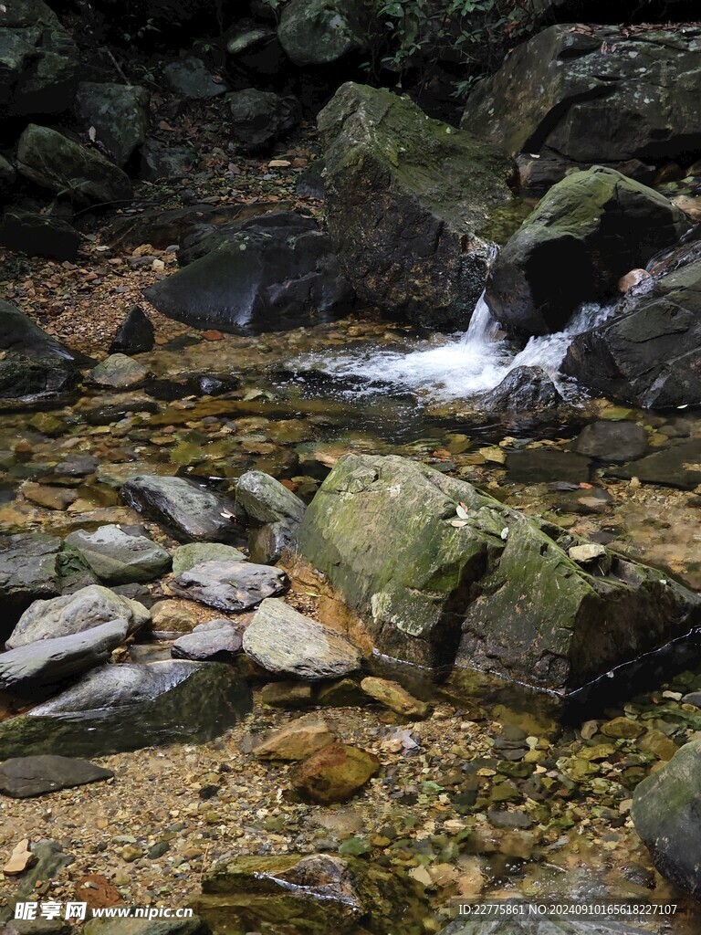 肇庆鼎湖山风景区风景