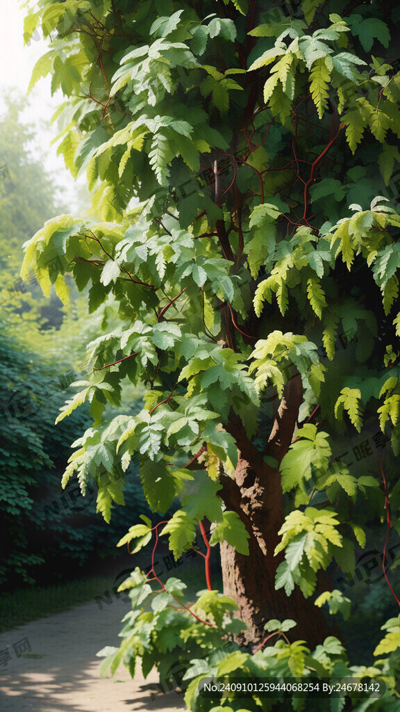 若常青藤般枝条丰盈