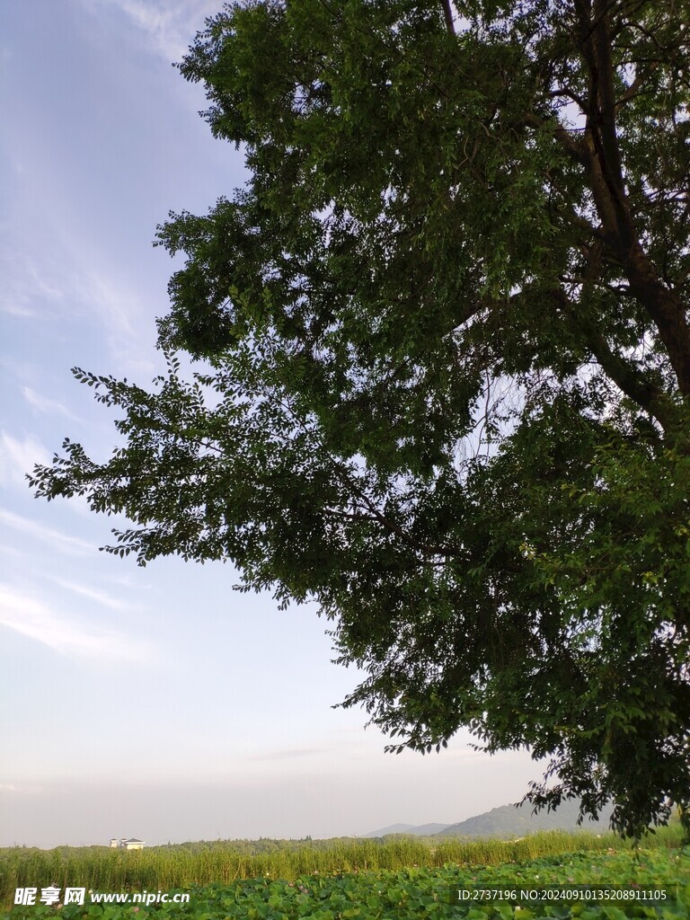 河边