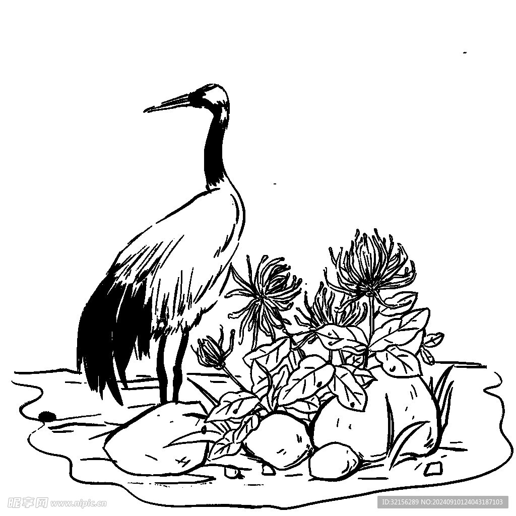 重阳节素材