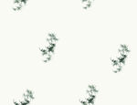 黑色花花
