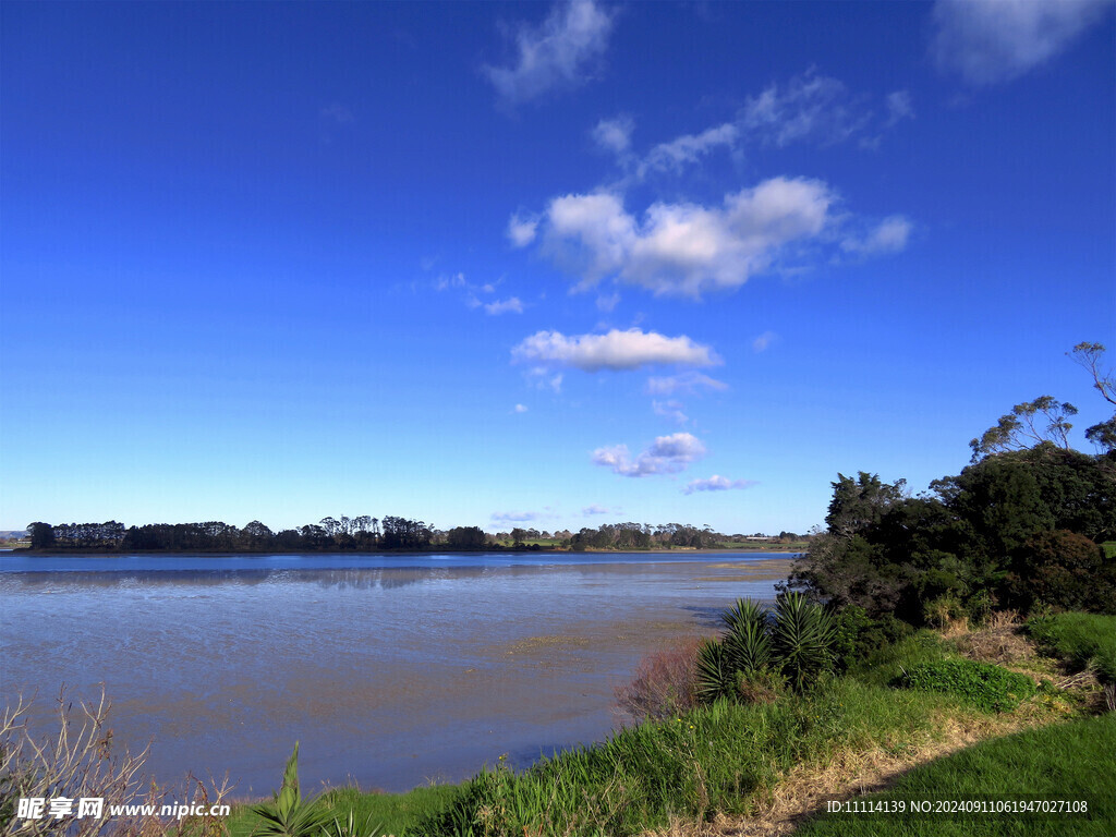 奥克兰海湾风景