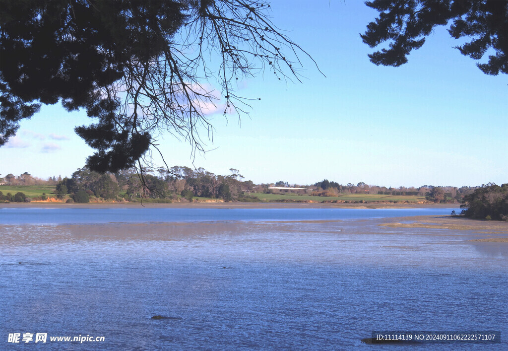 奥克兰海边风景