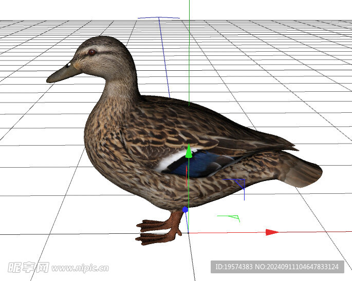 C4D模型 野鸭子 
