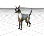 C4D模型 猫