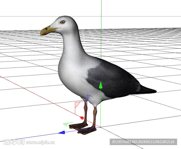 C4D模型 海鸥