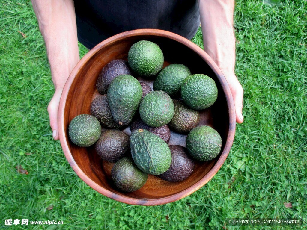 牛油果  