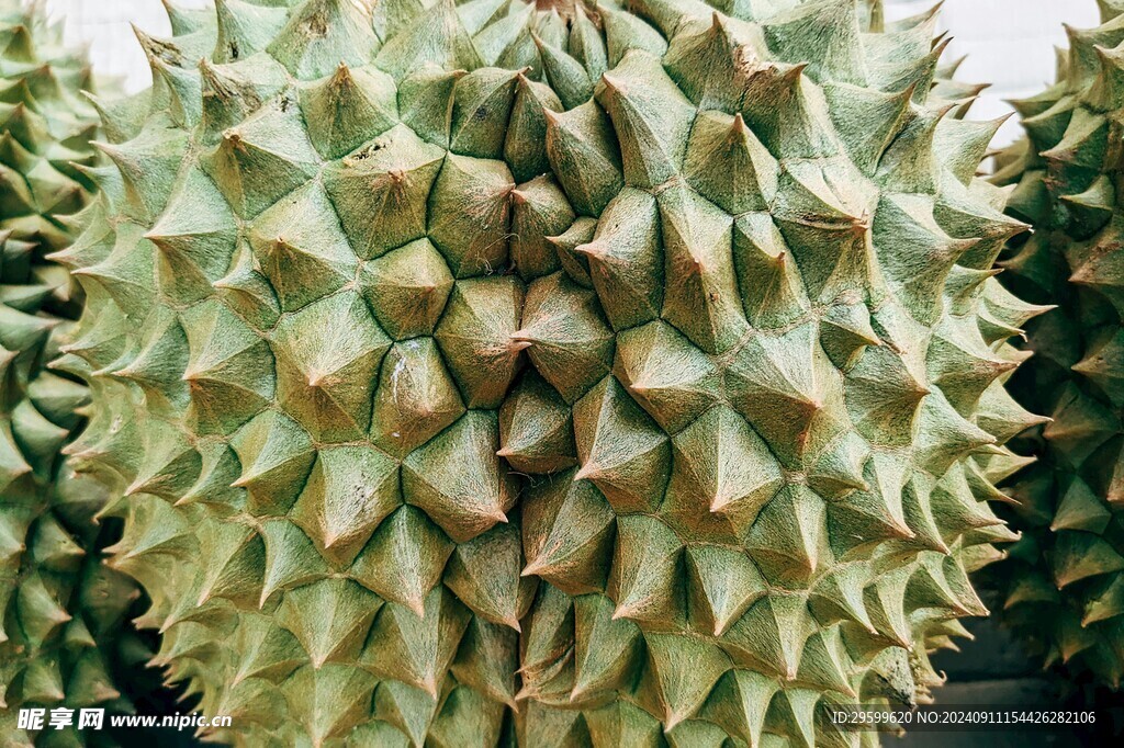 榴莲 