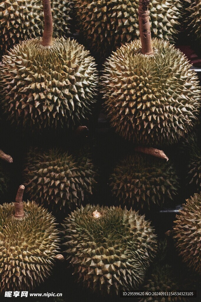 榴莲 