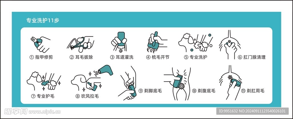 宠物洗护流程