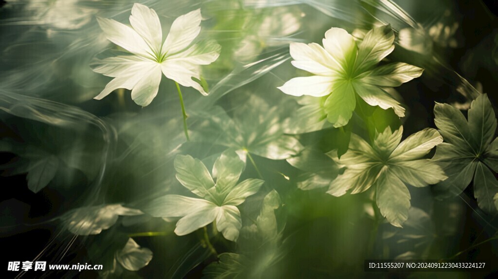 清爽鲜花花瓣花朵露珠背景图