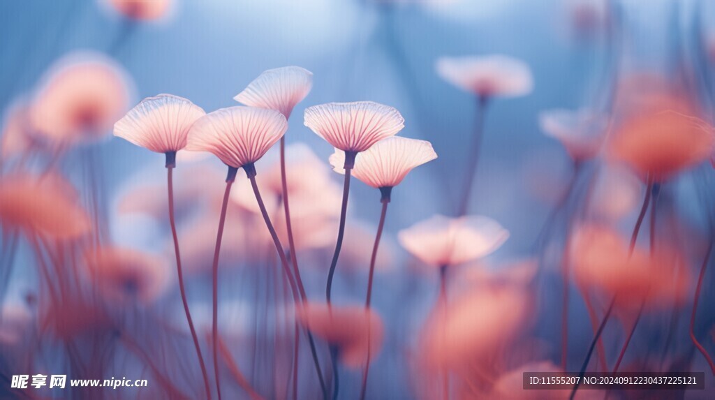 清爽鲜花花瓣花朵露珠背景图